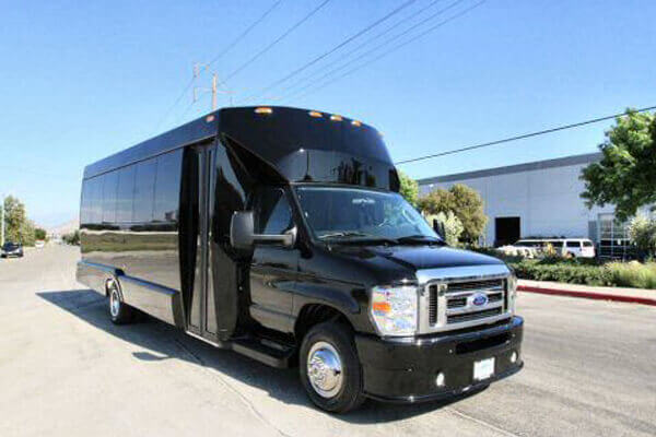 35 passenger party bus rental Dallas