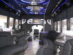 30 passenger party bus rentals