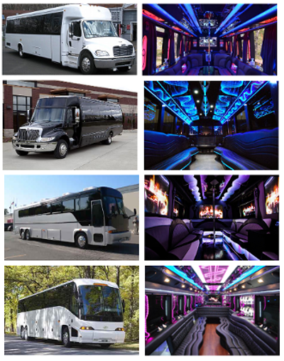 Best Party Bus Garland TX