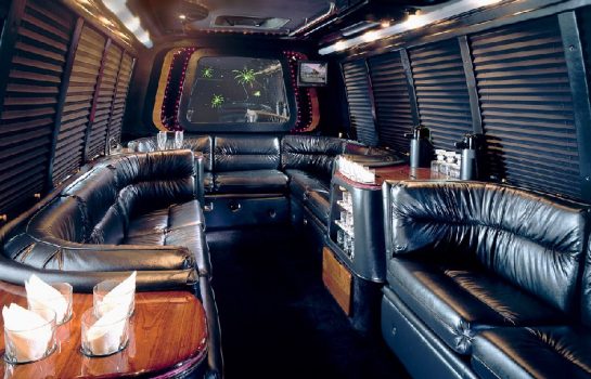 14-passenger-Party-Bus-rental-Channelview