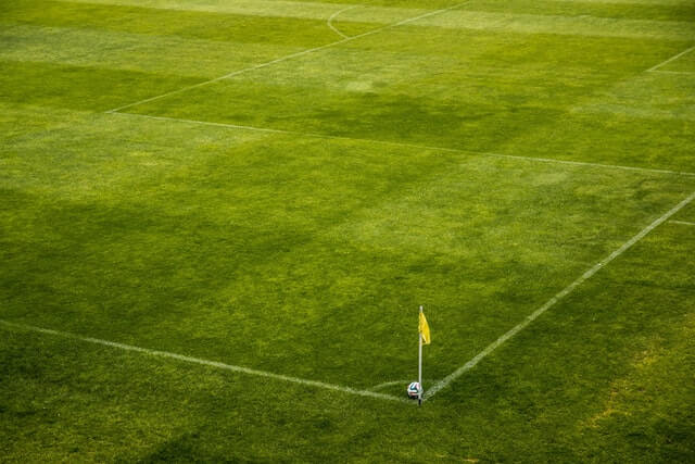 soccer-field